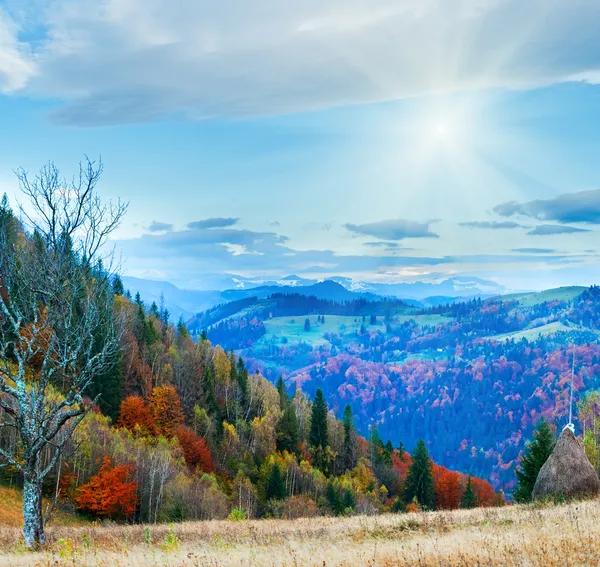 Herbstlicher Morgenberg — Stockfoto