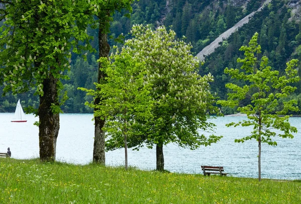 Achensee yaz peyzaj (Avusturya). — Stok fotoğraf