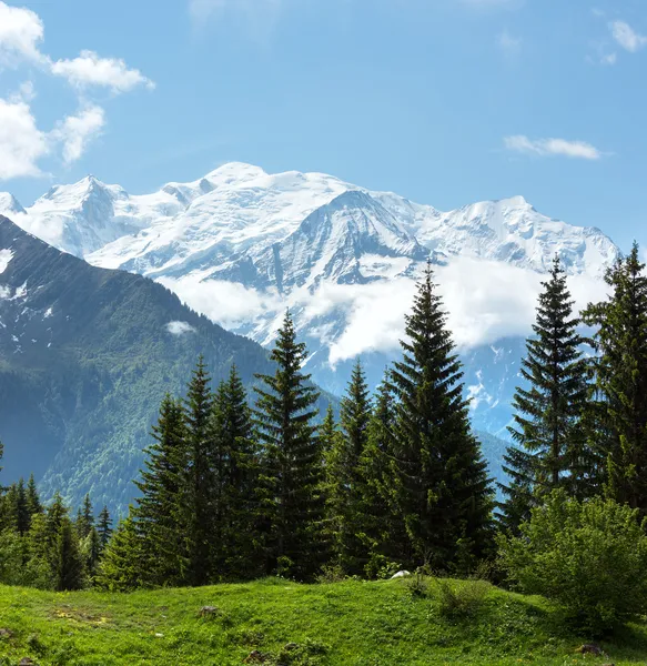 Horský masiv Mont Blanc (pohled z předměstí Plaine Joux) — Stock fotografie