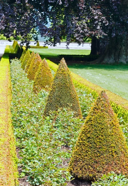 Paisajismo de flores — Foto de Stock