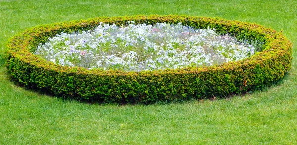 Blomsterlandskapsarkitektur – stockfoto