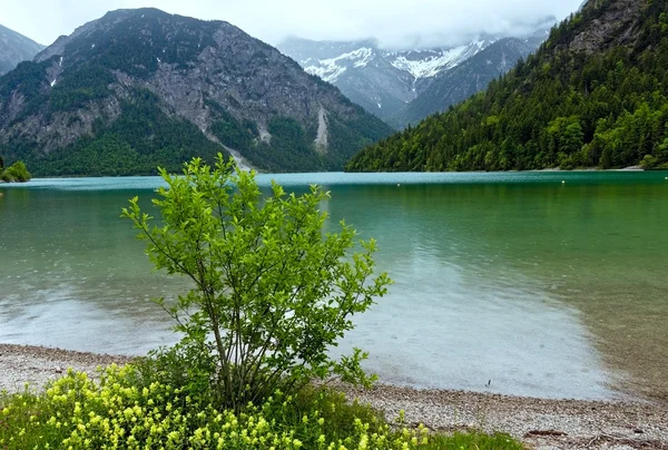 Plansee zomer landschap (Oostenrijk). — Stockfoto