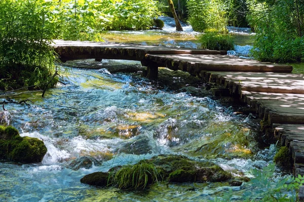 Estate montagna che scorre veloce vista sul fiume — Foto Stock