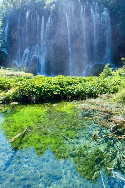 プリトヴィツェ湖群国立公園 (クロアチア) — ストック写真