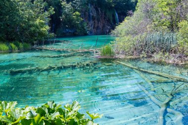 Plitvice Gölleri Milli Parkı (Hırvatistan)