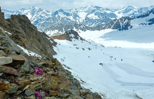 Альпийские цветы и подъемник — стоковое фото