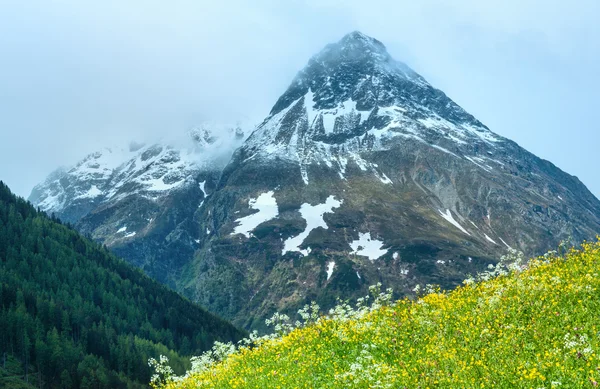 Silvretta Alpi vista estate, Austria — Foto Stock