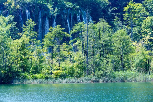 Nationalparken Plitvicesjöarna (Kroatien) — Stockfoto