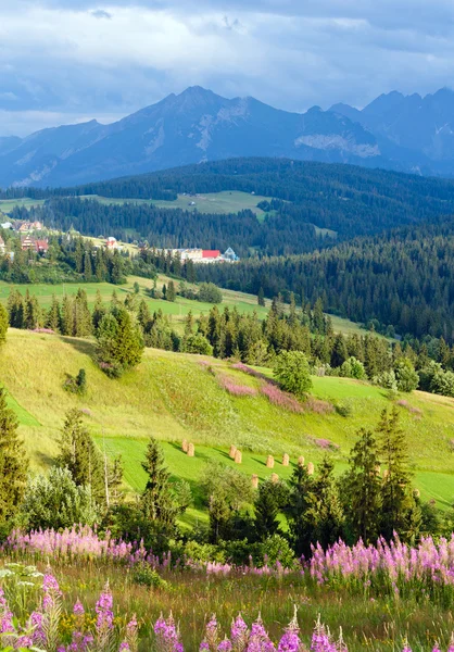 Montagne d'été vue campagne — Photo