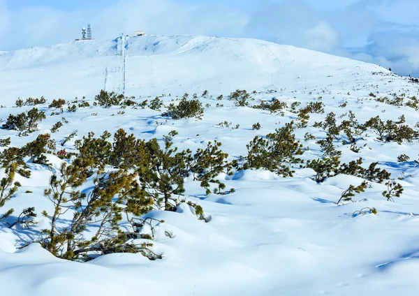 Schöne winterliche Berglandschaft. — Stockfoto