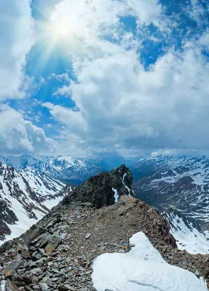 Mountain view with alp flowers over precipice and clouds — Stock Photo, Image