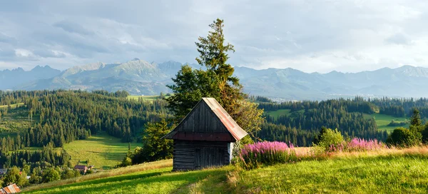 Summer mountain country panorama. — Stock Photo, Image