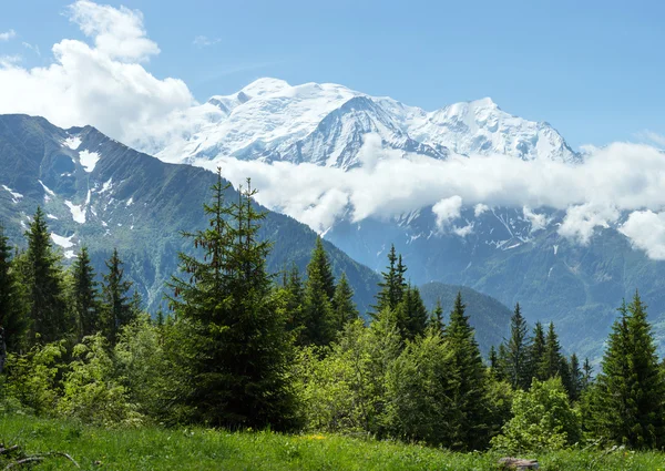 Mont Blanc maciço da montanha (vista da periferia de Plaine Joux ) — Fotografia de Stock