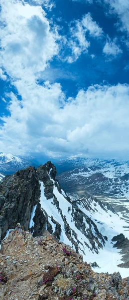 Alp flores sobre el precipicio de montaña y nubes — Foto de Stock