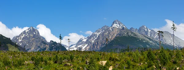 Alti Tatra (Slovacchia) panorama primaverile . — Foto Stock