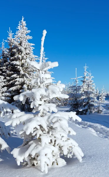 Ранковий зимовий гірський пейзаж — стокове фото