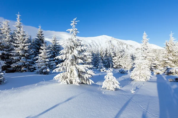 Mañana invierno montaña paisaje —  Fotos de Stock