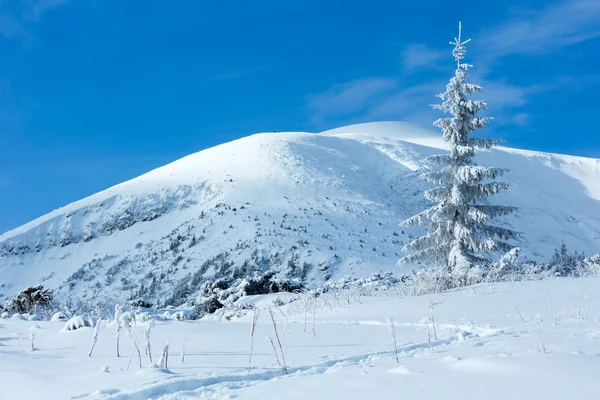 Vinter bergslandskap med snöiga träd — Stockfoto