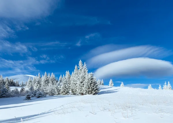 Vinter bergslandskap med snöiga träd — Stockfoto