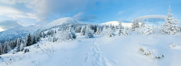 Paesaggio montano invernale con alberi innevati — Foto Stock