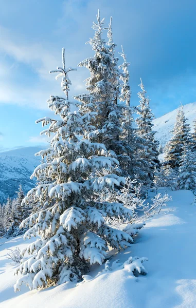 Χειμερινό ορεινό τοπίο με χιονισμένα δέντρα — Φωτογραφία Αρχείου