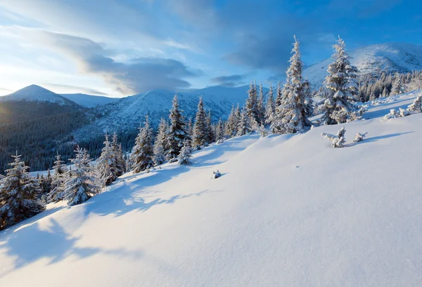Paesaggio montano invernale con alberi innevati — Foto Stock
