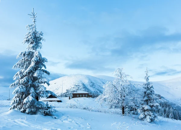 Winterlandschap met besneeuwde bomen — Stockfoto