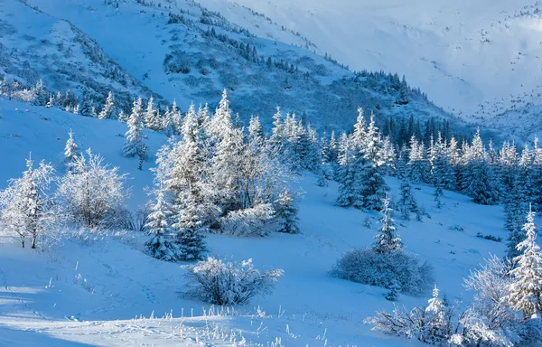 Ранковий зимовий гірський пейзаж — стокове фото