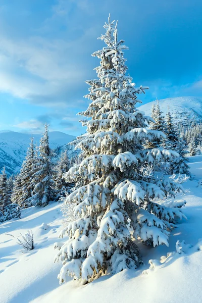 Morgon vinterlandskap berg — Stockfoto