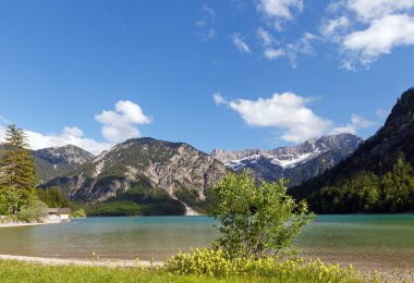 plansee yaz peyzaj (Avusturya).