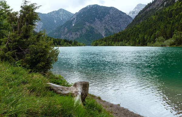 Plansee nyári táj (Ausztria). — Stock Fotó