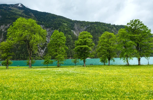 Achensee paisagem de verão (Áustria ). — Fotografia de Stock