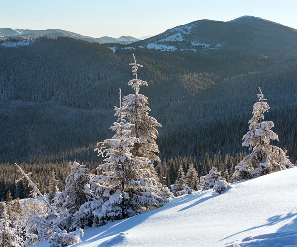 Mañana invierno montaña paisaje — Foto de Stock