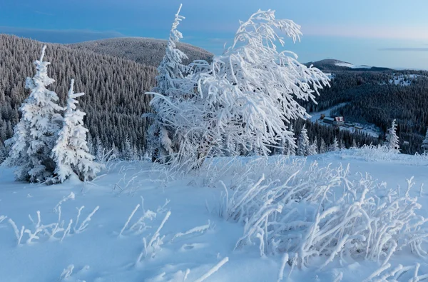 Paysage de montagne d'hiver avant l'aube — Photo