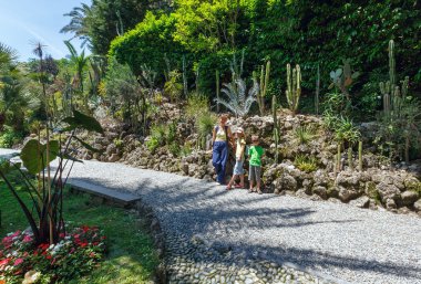 Yaz bulutlu Dağ Manzaralı