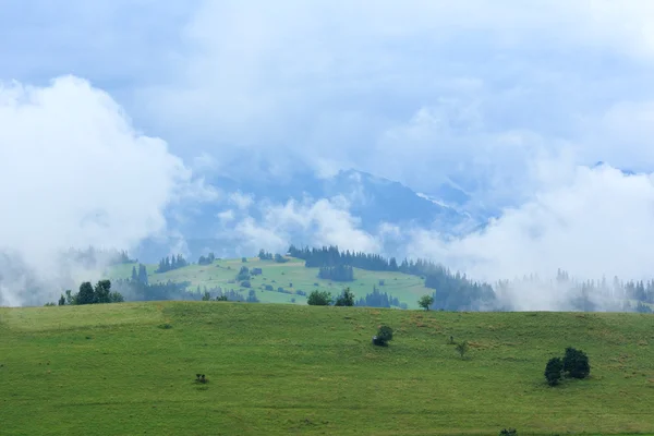 Summer misty mountain country view — Stock Photo, Image