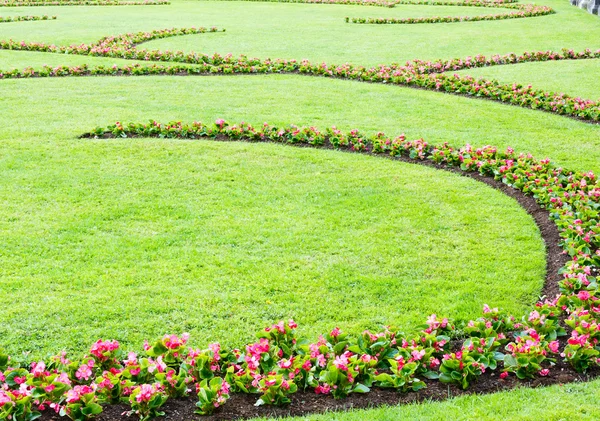 Paisagismo de flores — Fotografia de Stock