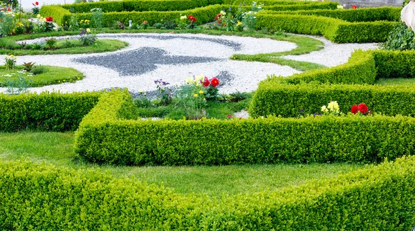 Paisagismo de flores — Fotografia de Stock