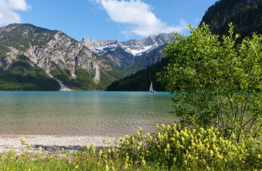 plansee yaz peyzaj (Avusturya).