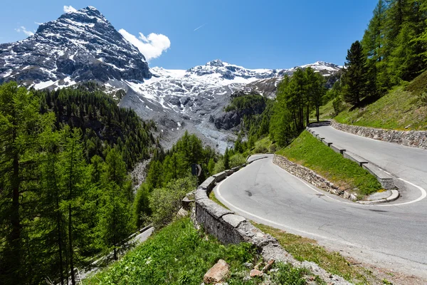 Summer Stelvio Pass (Italy) — Stock Photo, Image
