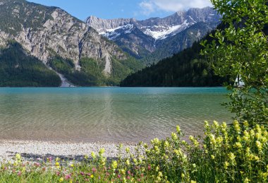 plansee yaz peyzaj (Avusturya).