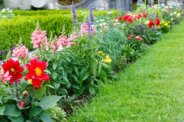 Blomma landskapsarkitektur — Stockfoto