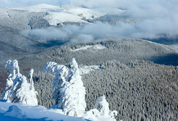 Inverno paisagem montanhosa com árvores nevadas — Fotografia de Stock