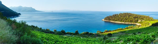 Verano mar costa vista (Croacia ) — Foto de Stock