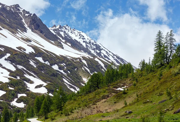 Летний горный пейзаж со снегом (Альпы, Швейцария ) — стоковое фото