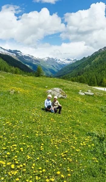 孩子在夏天山地草甸 （阿尔卑斯山、 瑞士) — 图库照片