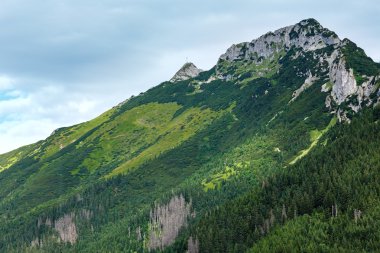 Yaz tatra mountain, Polonya