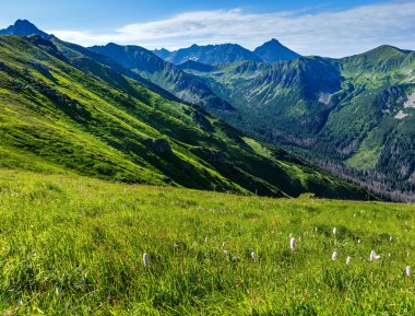 Yaz tatra mountain, Polonya