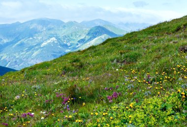 Yaz tatra mountain, Polonya
