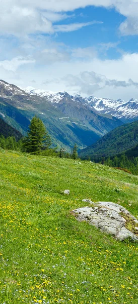 黄色的蒲公英花夏天山边坡 — 图库照片